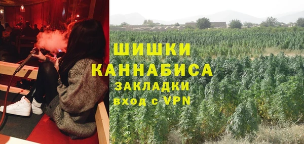 каннабис Белокуриха