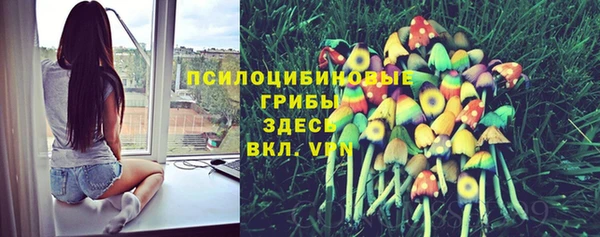 спайс Гусиноозёрск